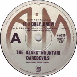 Ozark Mountain Daredevils : If I Only Knew